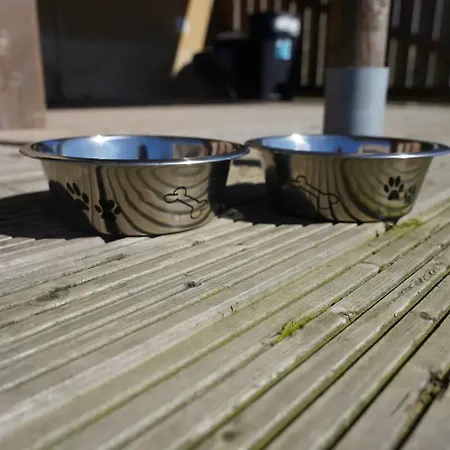 Luksusowy namiot Glamping Met Bar En Prive Sanitair Voor 5 Personen Sneezy Behelp