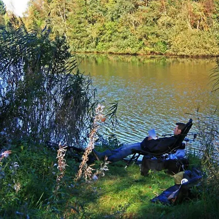 Glamping Met Bar En Prive Sanitair Voor 5 Personen Sneezy Οργανωμένο κάμπινγκ Behelp