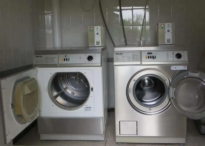 Glamping Met Bar En Prive Sanitair Voor 5 Personen Sneezy Behelp