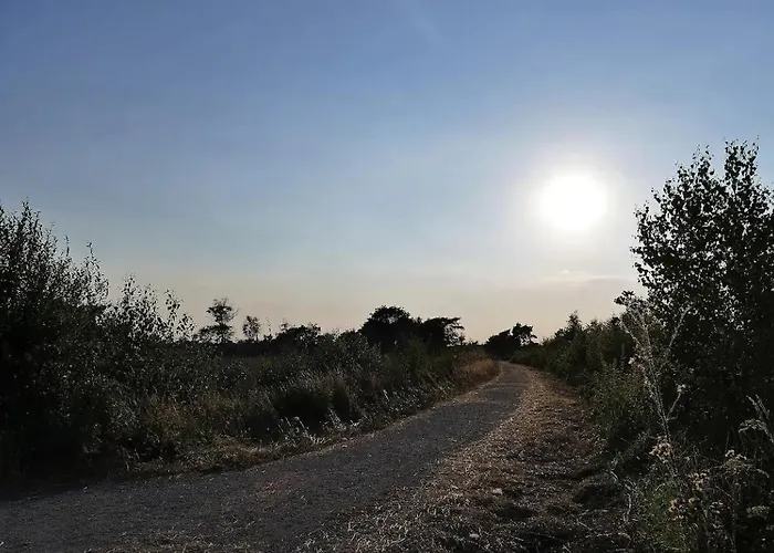 Tente de luxe Glamping Met Bar En Prive Sanitair Voor 5 Personen Sneezy Behelp