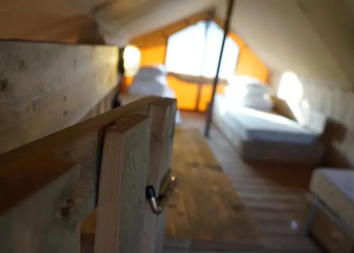 Glamping Met Bar En Prive Sanitair Voor 5 Personen Sneezy Tente de luxe