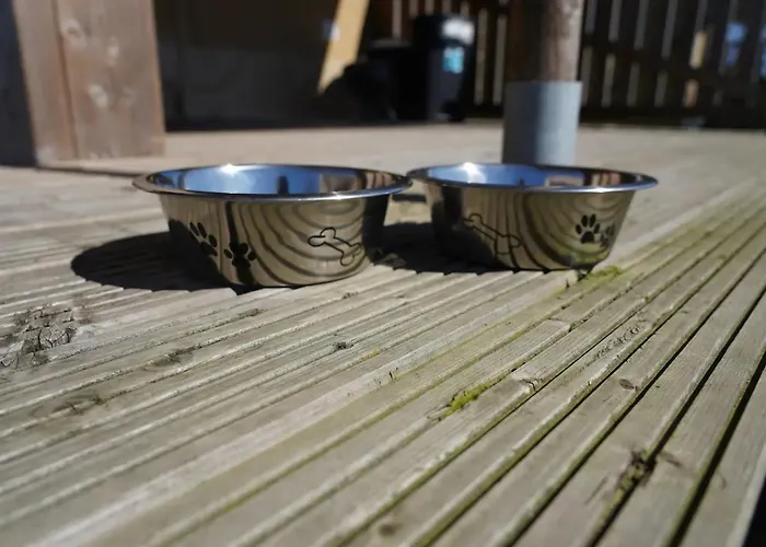 Tente de luxe Glamping Met Bar En Prive Sanitair Voor 5 Personen Sneezy Behelp