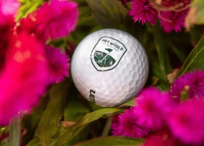 Luksusowy namiot Glamping Met Bar En Prive Sanitair Voor 5 Personen Sneezy Behelp