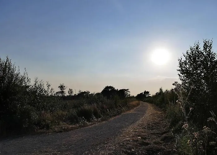 Tente de luxe Glamping Met Bar En Prive Sanitair Voor 5 Personen Sneezy Behelp