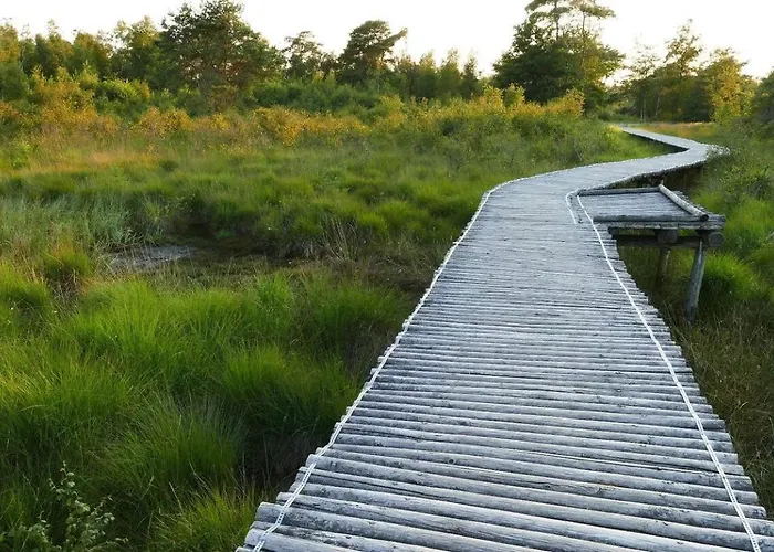 Tente de luxe Glamping Met Bar En Prive Sanitair Voor 5 Personen Sneezy