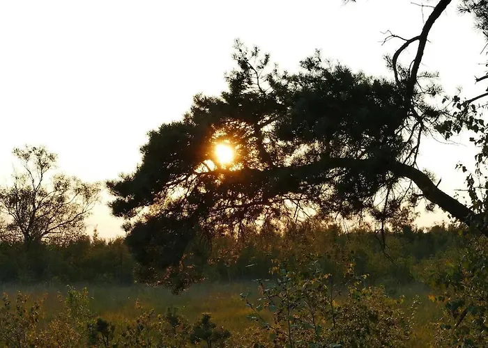 Glamping Met Bar En Prive Sanitair Voor 5 Personen Sneezy Tente de luxe *