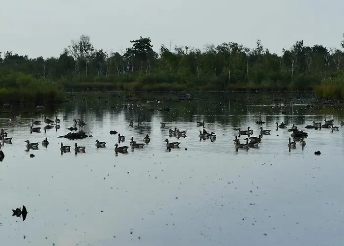 Glamping Met Bar En Prive Sanitair Voor 5 Personen Sneezy *